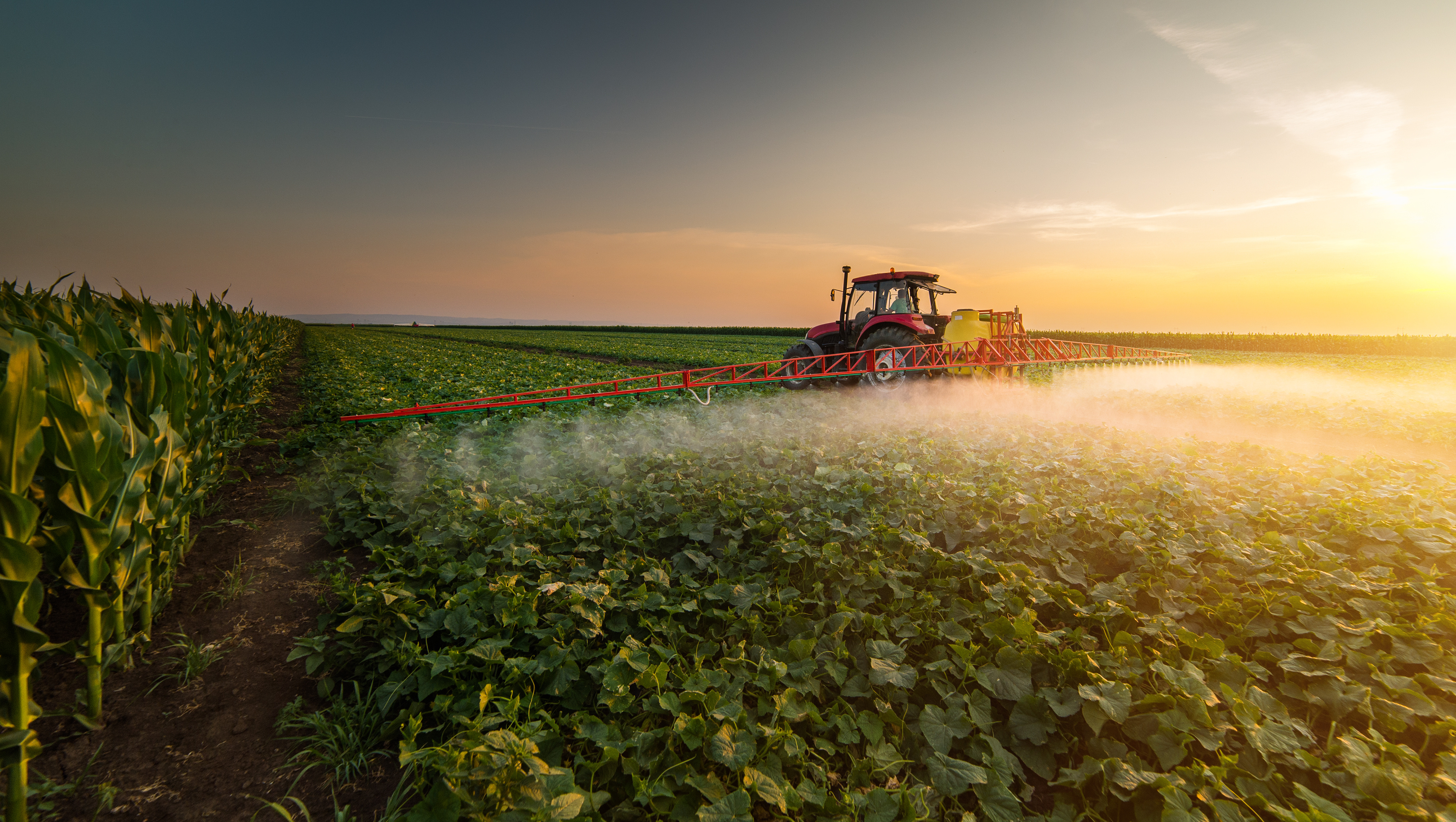 Tractor spraying pesticides on vegetable field with sprayer at spring